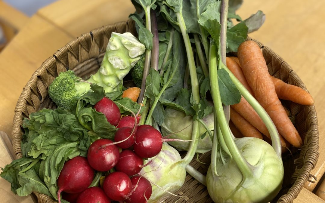 Besuch RUZ Schortens 24.05.23