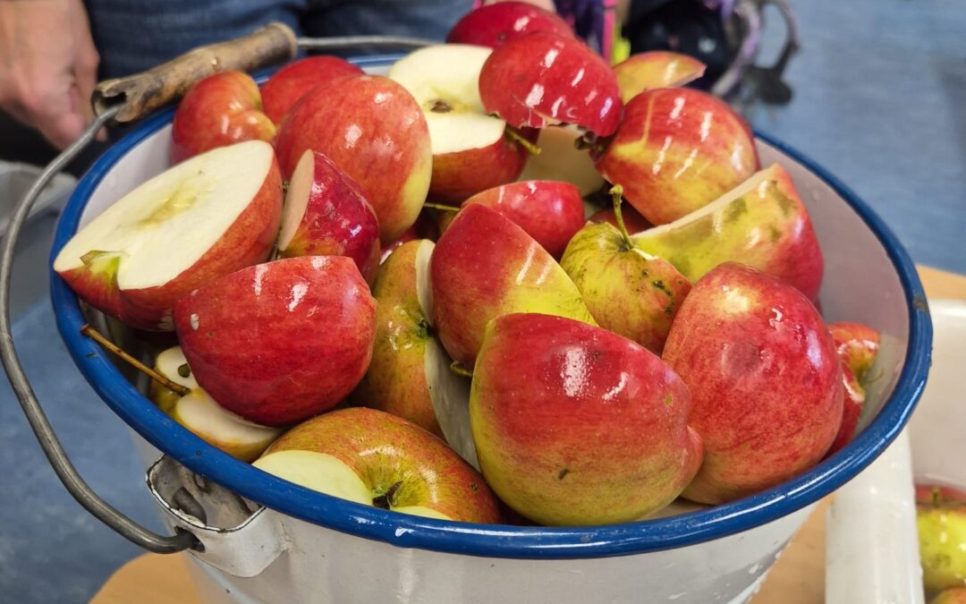 Apfelsaft herstellen mit dem BUND